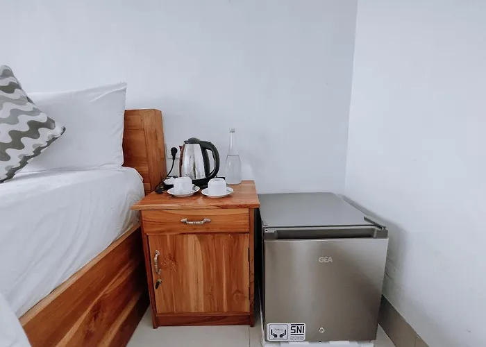 Aurora View 3*